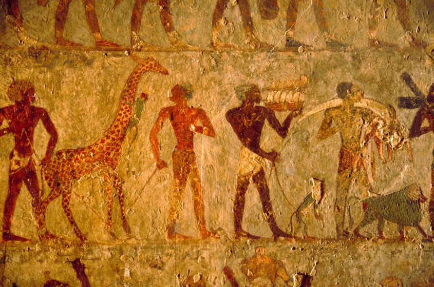 Animaux exotique provenant de Pount - Deir el-Bahari