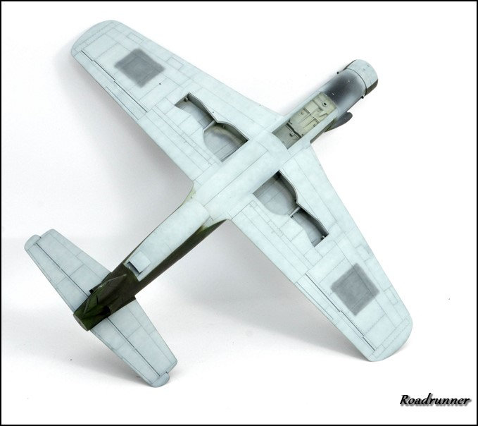 DO-335A tamiya 1/48.... Apw7