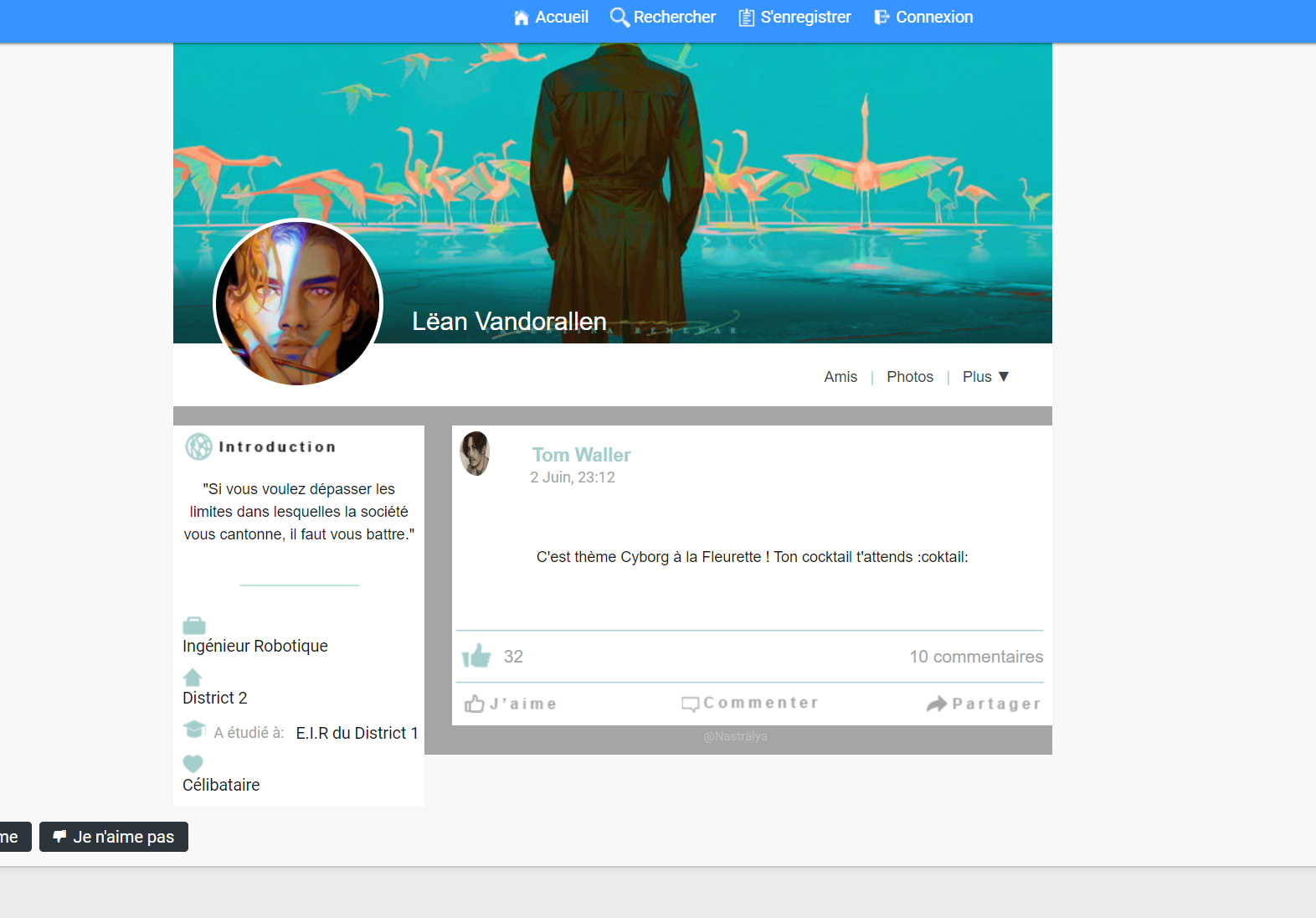 css3 - Réseau social type FB (Profil) Mwd0