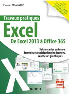 Fabrice Lemainque Excel : De Excel 2013 à Office 365