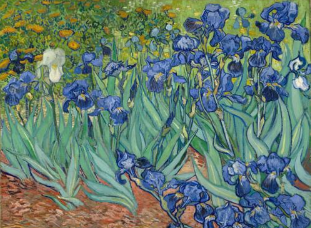 Tableau  iris de Vincent Van Gogh