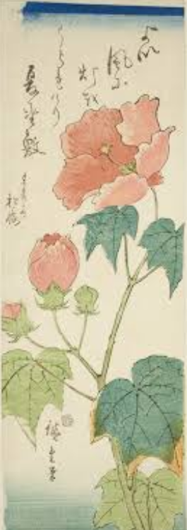 Tableau Hibiscus  Hiroshige