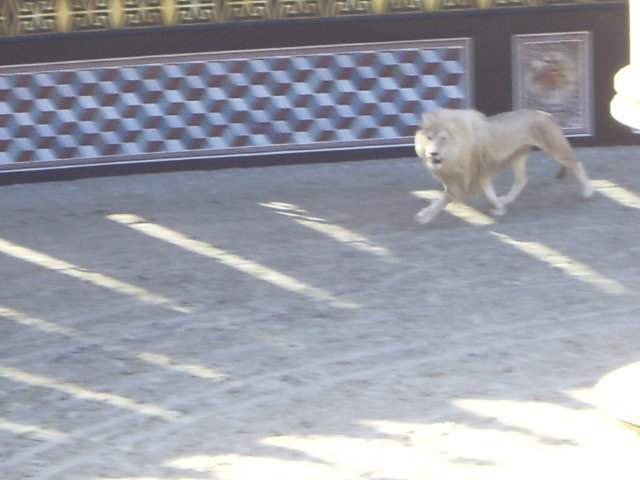 parc du puy du fou 6qq6