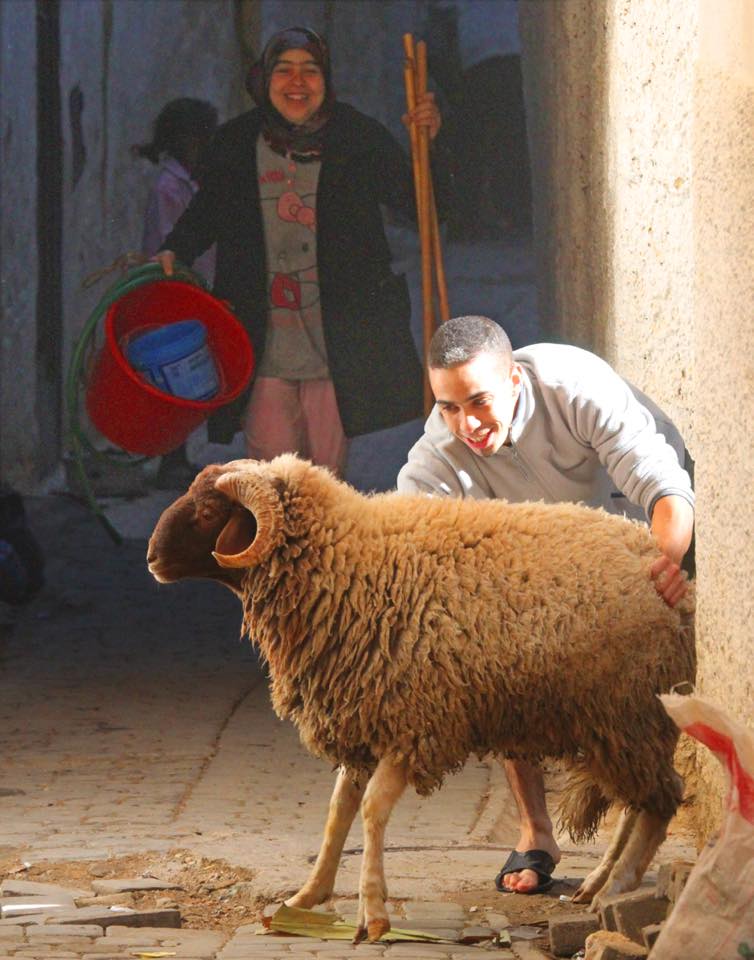 LA FÊTE DU MOUTON AU MAROC.