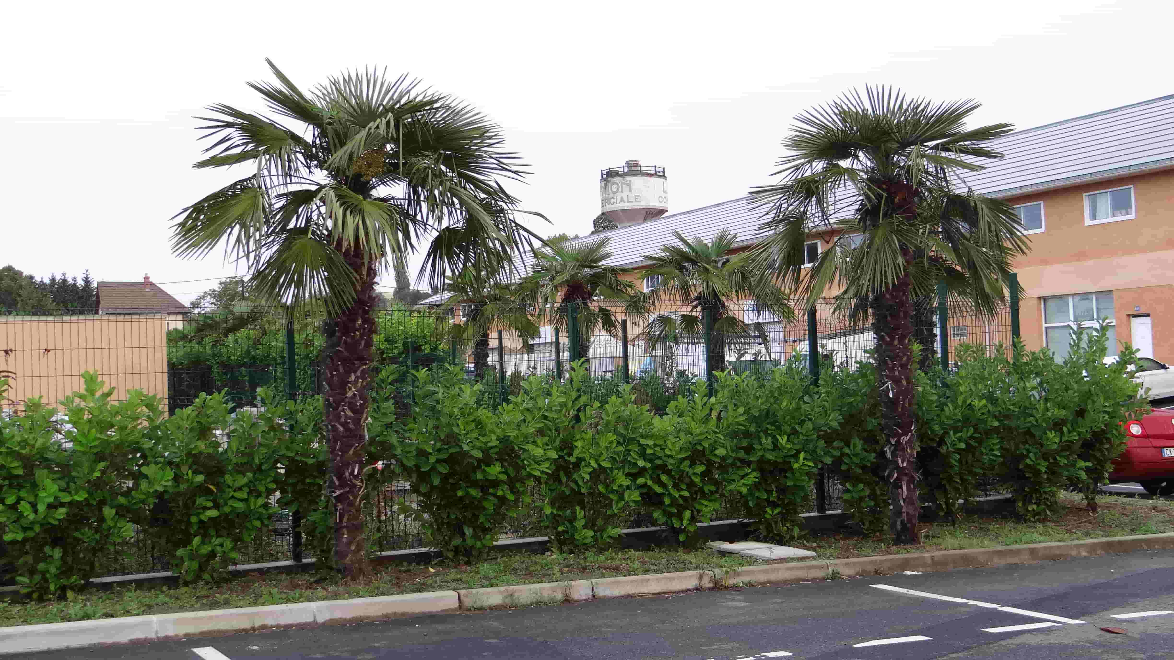 Parking arbuste parc de jeux Amus land Meaux Villenoy