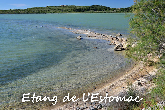 Étang de l estomac fos sur mer - OnVaSortir! Marseille