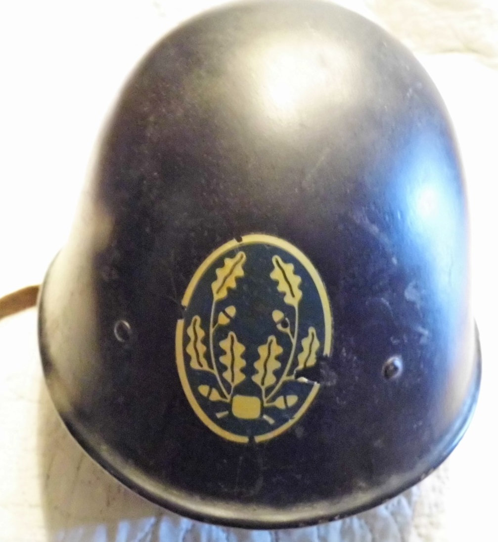  Casque Vlaamse Wacht. 45ol