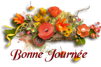 Bonjour de Septembre - Page 5 Elc8