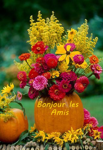 Bonjour l'automne ! - Page 4 Drlo