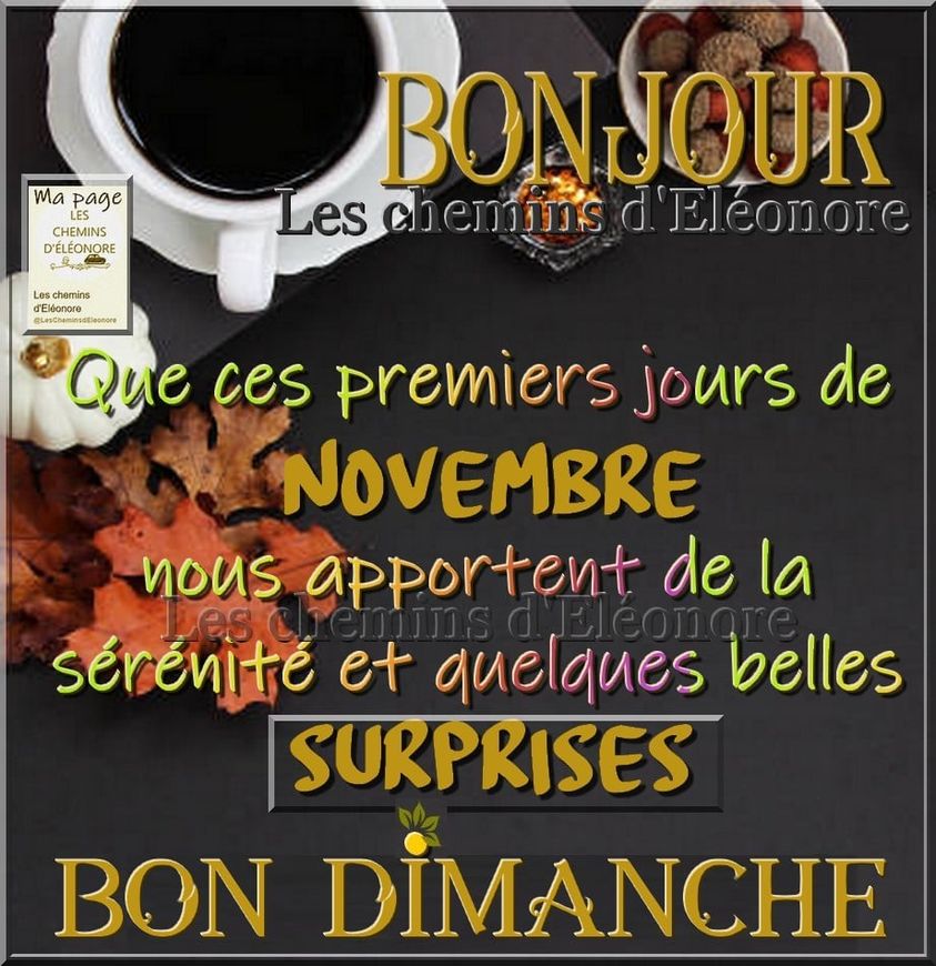 Bonjour l'automne ! - Page 6 7130