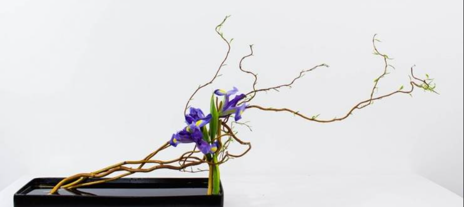 Ikebana composition florale