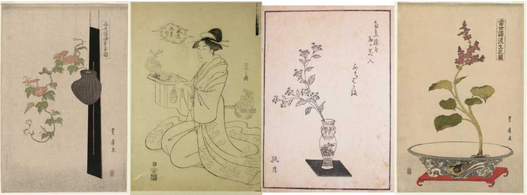ikebana illustration