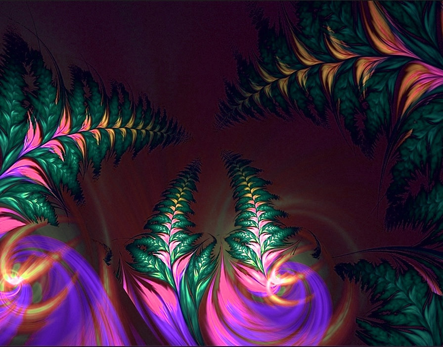 fractales de Novembre P8i6