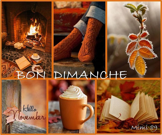 Bonjour l'automne ! - Page 7 Dnil