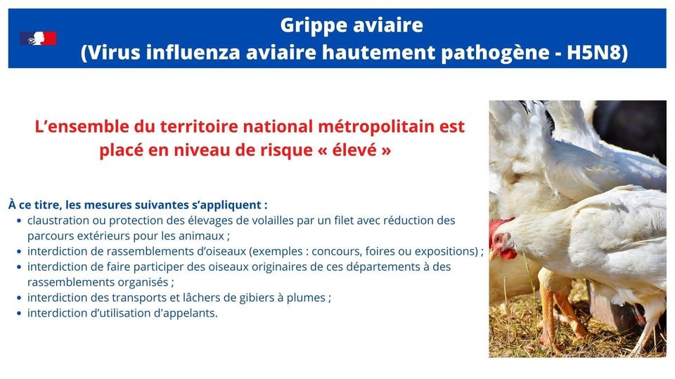 de notes Grippe Aviaire l’ensemble du territoire national