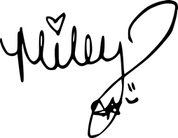6z6v.png