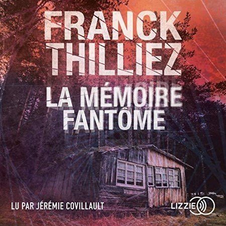 Franck Thilliez Tome 4 - La Mémoire fantôme