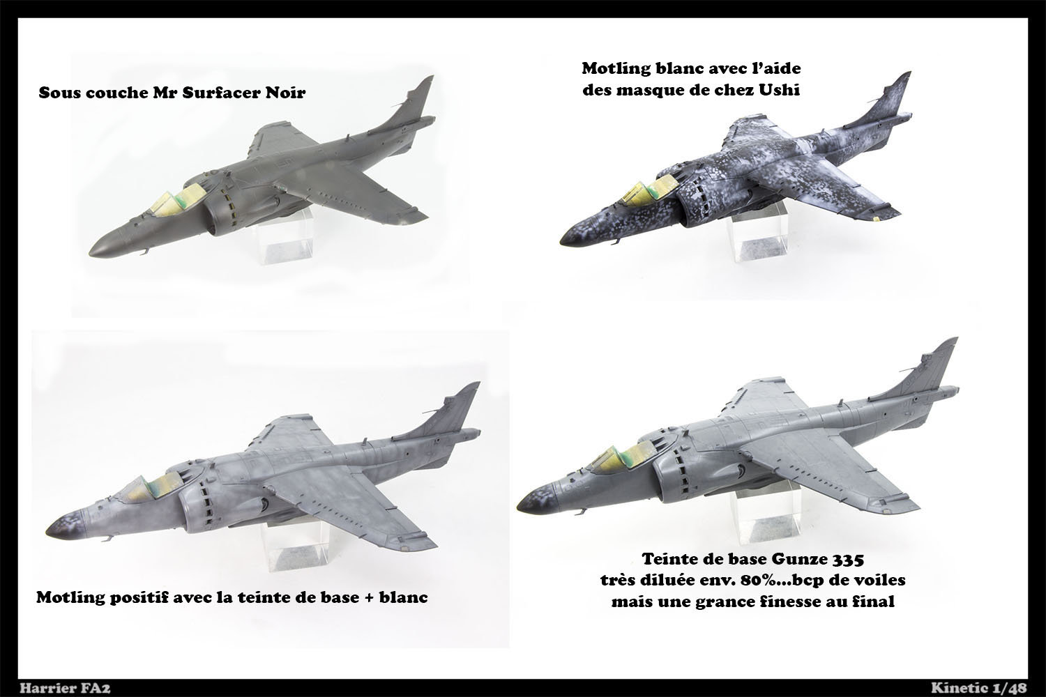 Harrier FA2 Kinetic 1/48 Snw3