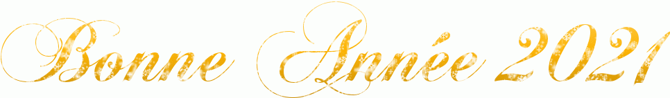 b9ai.gif