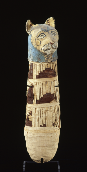 Momie de chat, matière organique, lin, cartonnage, Basse Époque (664-332 av. J.-C.) ou époque ptolémaïque