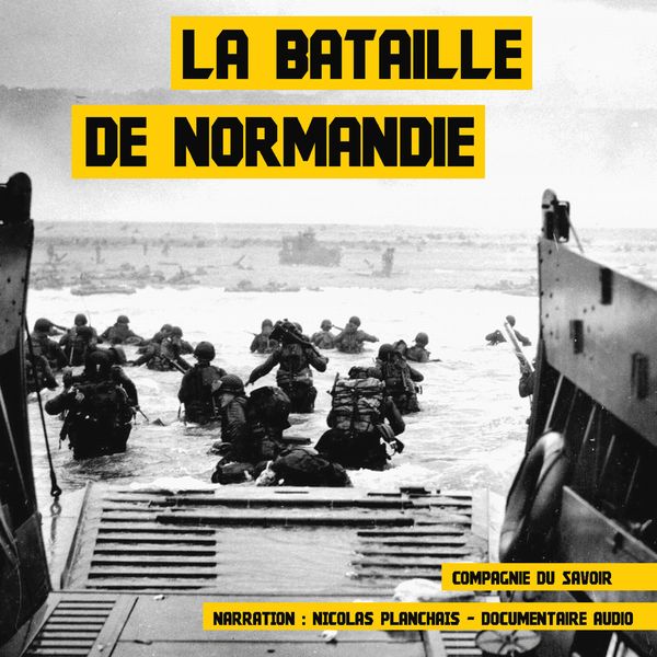 JOHN MAC - LA BATAILLE DE NORMANDIE - 2014 