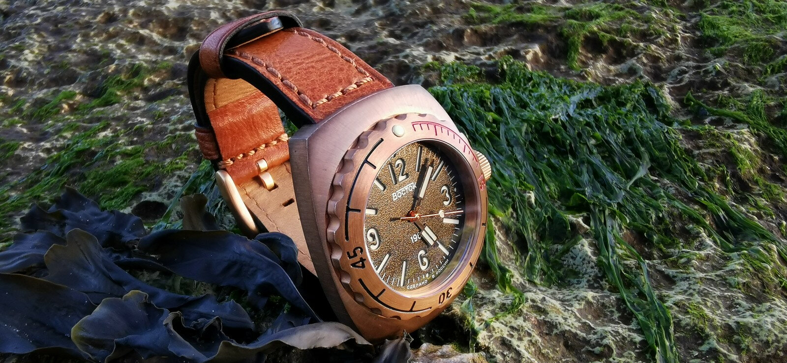 Bronze du jour... - Page 9 Jt88