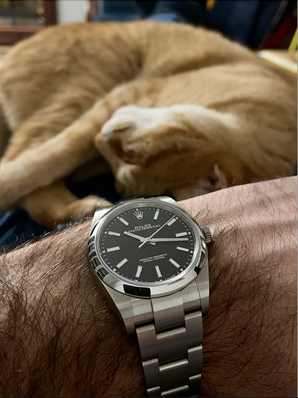 Oyster Perpetual 39mm - Page 18 Fxai