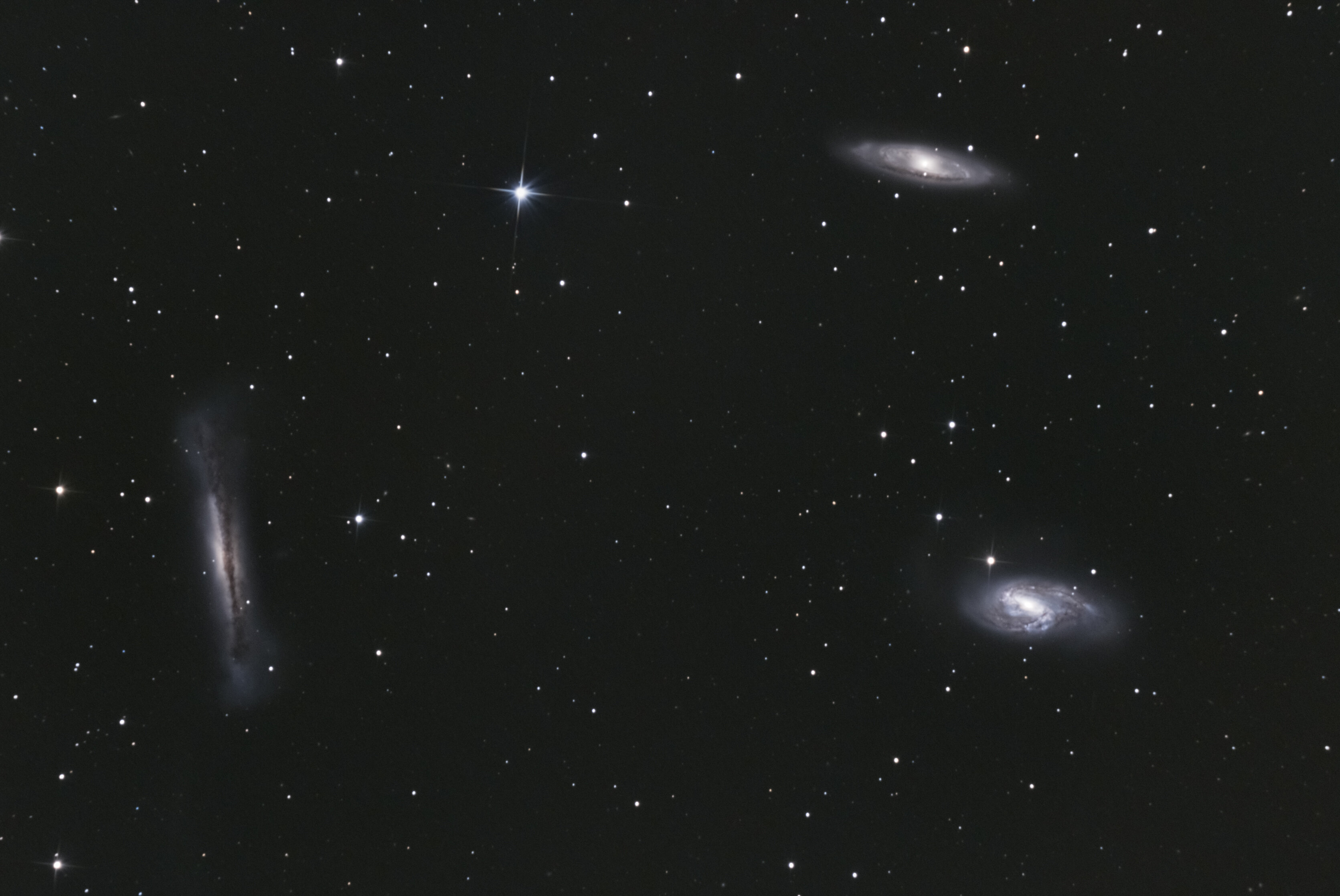 M65 - M66 - NGC3628 (Triplet du Lion) Hgal
