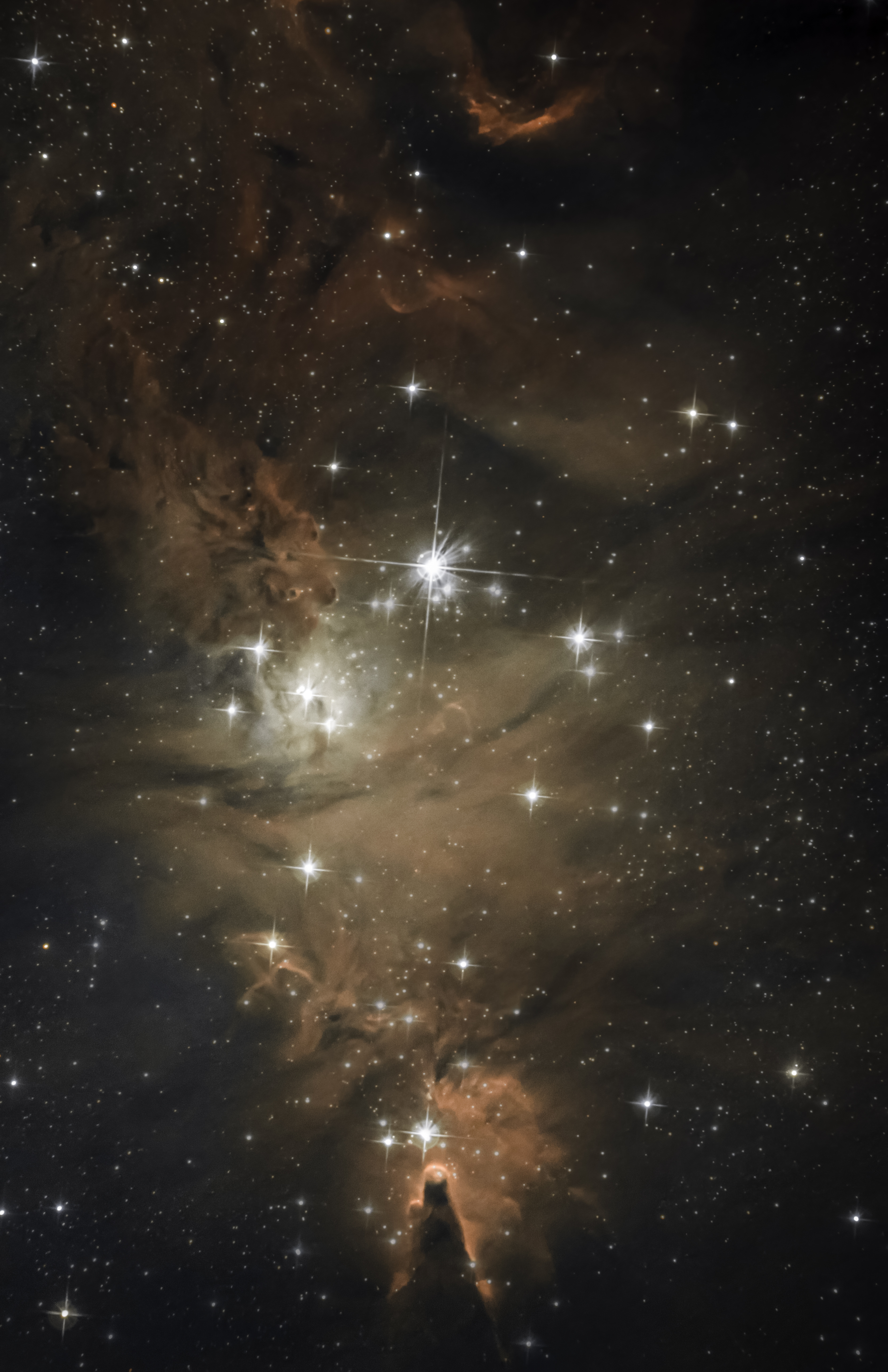 NGC2264 (Nébuleuse du cône + Sapin de noel) 9wrn