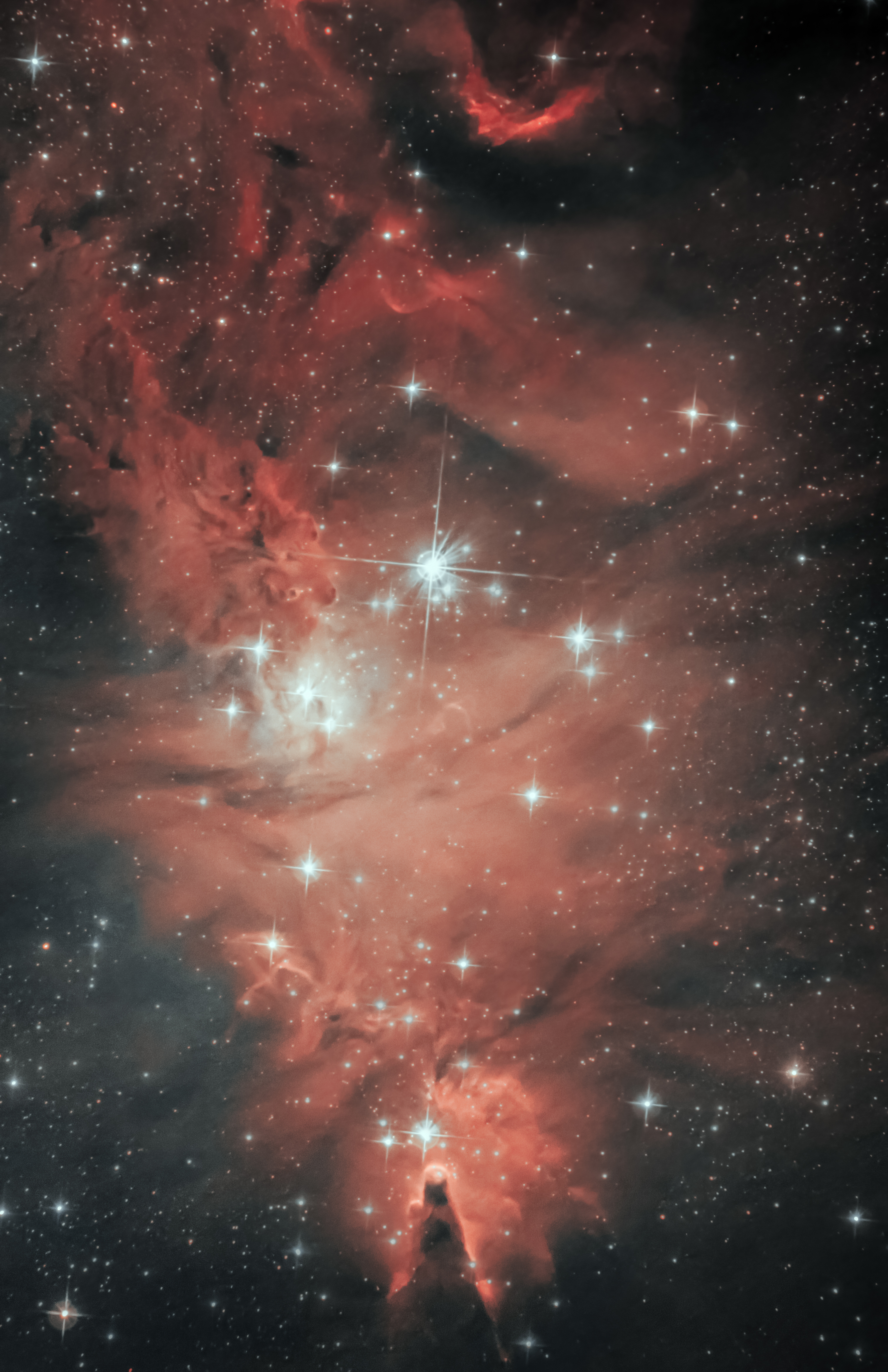 NGC2264 (Nébuleuse du cône + Sapin de noel) I1kq