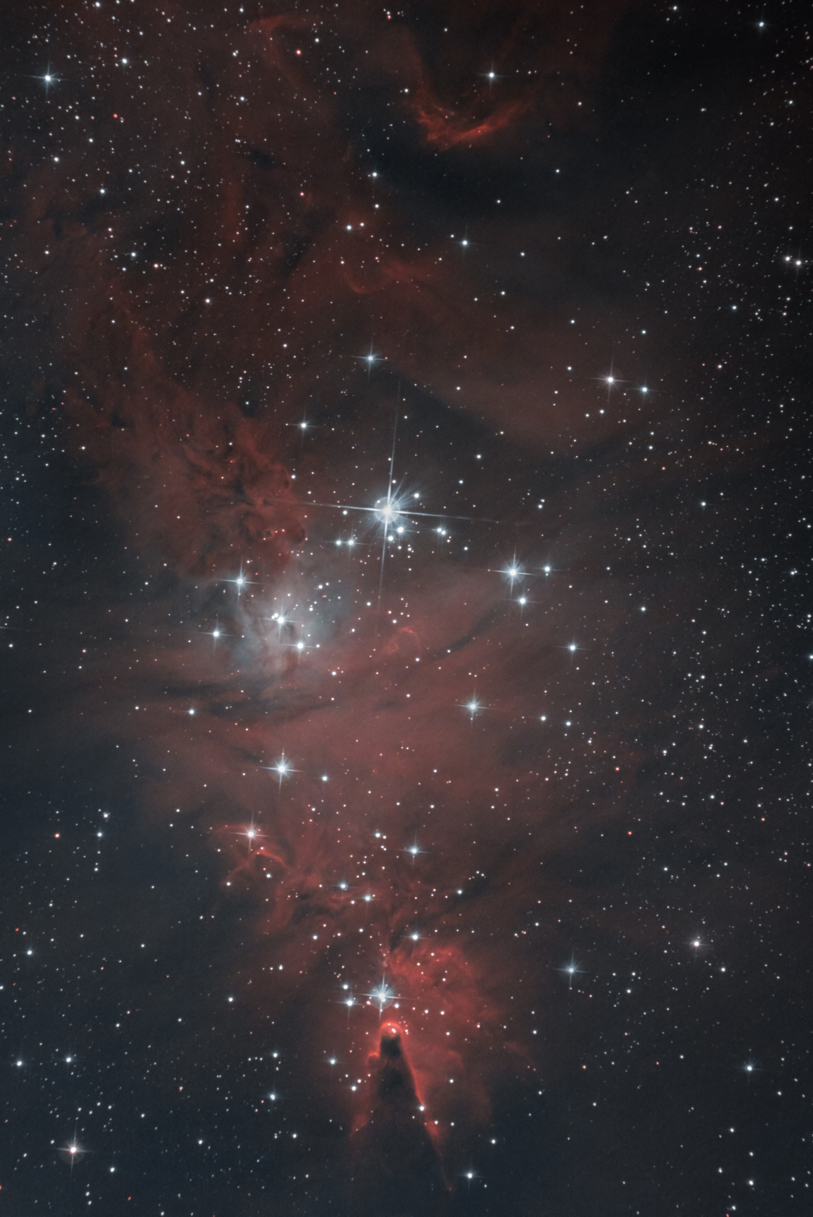 NGC2264 (Nébuleuse du cône + Sapin de noel) X8uq