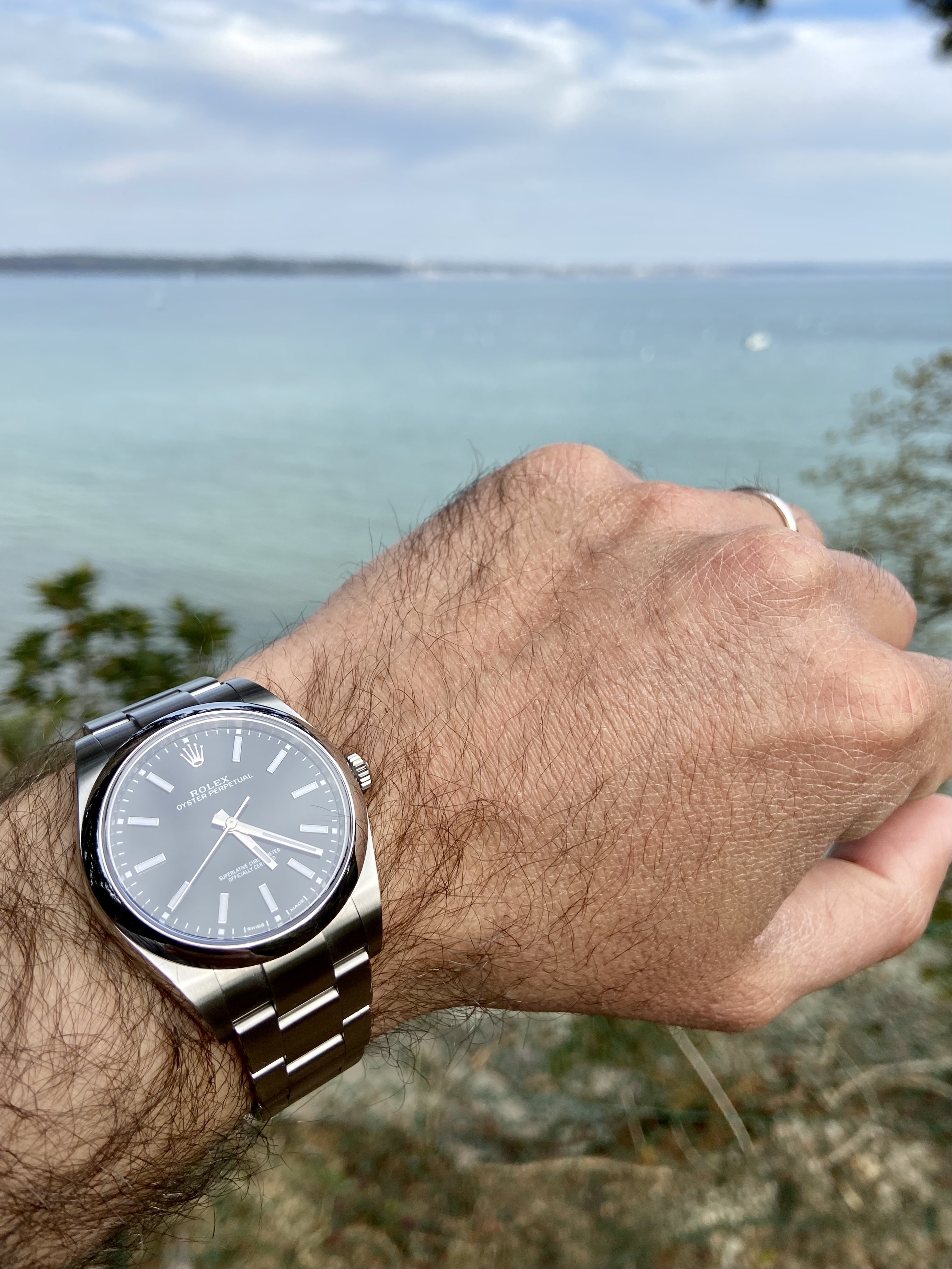 ***** La Rolex du jour - vol.36 ***** - Page 3 Occe