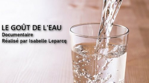 Telecharger La France En Vrai Le Gout De L Eau 2018 Vff Hdtvrip 720p Avc Aac Yggtorrent