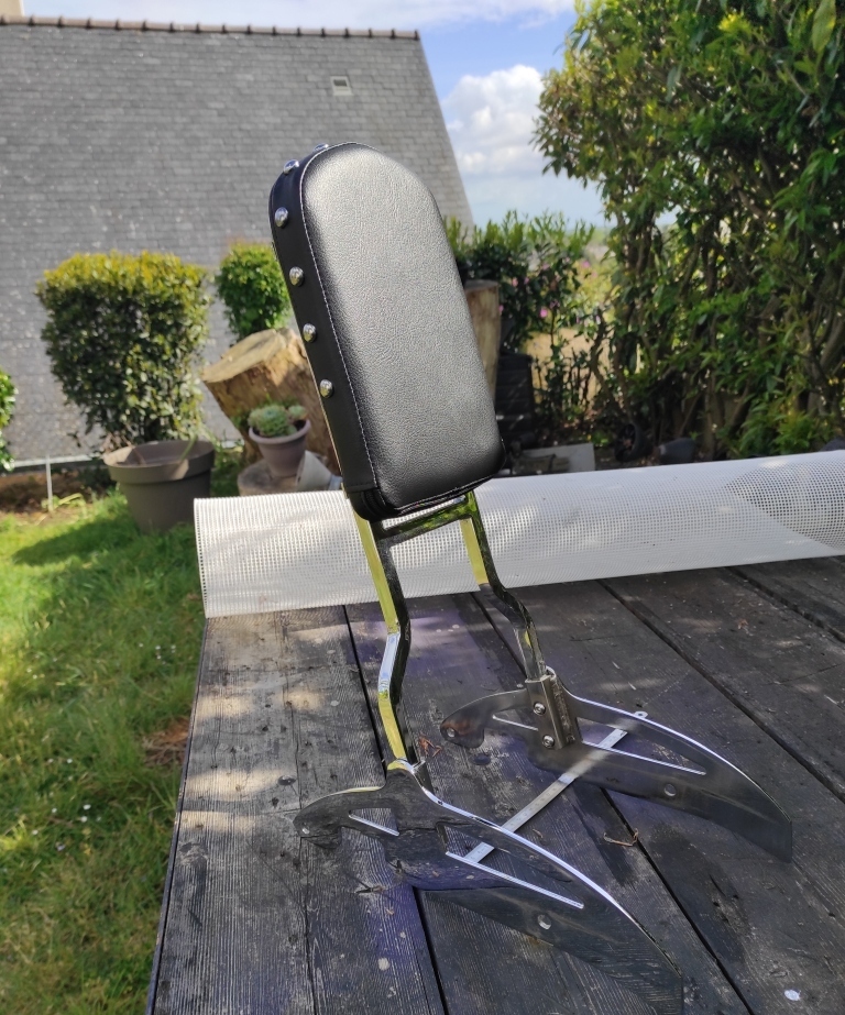  A vendre sissy bar taille haute ! S20c