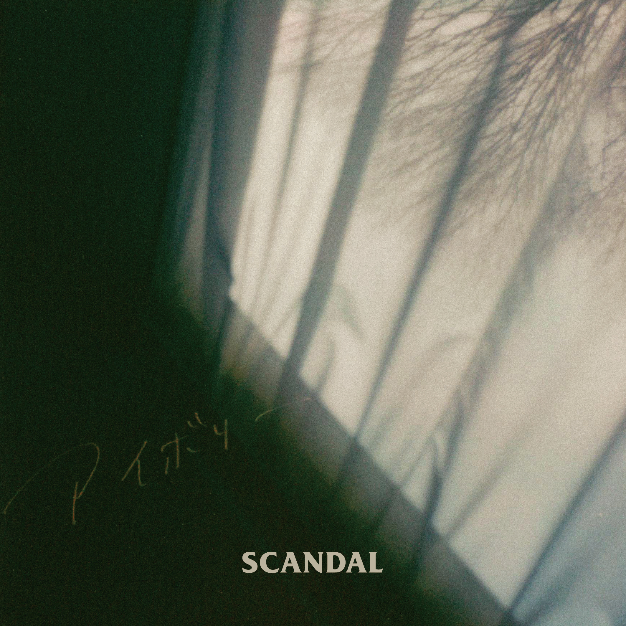 Scandal ; Ivory