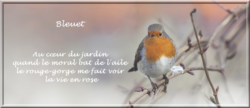 Poemes En Ligne Citations Citation Oasis Des Artistes Le Plus Beau Site De Poesie Du Web Poesie Litterature Creations Artistiques