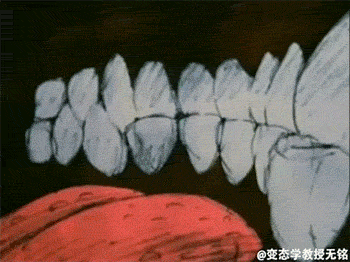 https://zupimages.net/up/21/25/v6gy.gif