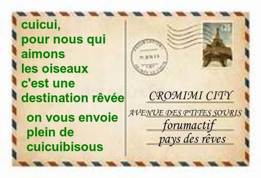 Cromimi-Nut... Le retour ! - Page 2 As6a