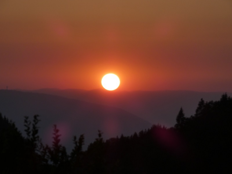 https://zupimages.net/up/21/29/0dh0.jpg