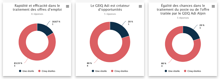 Extrait résultats profil candidats - Audit RSE - Geiq Adi Alpin