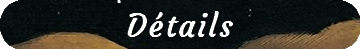 zj23.png