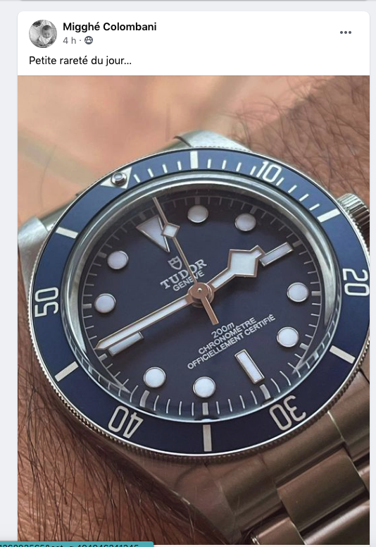 Tudor - Éditions Limitées - Page 15 G612