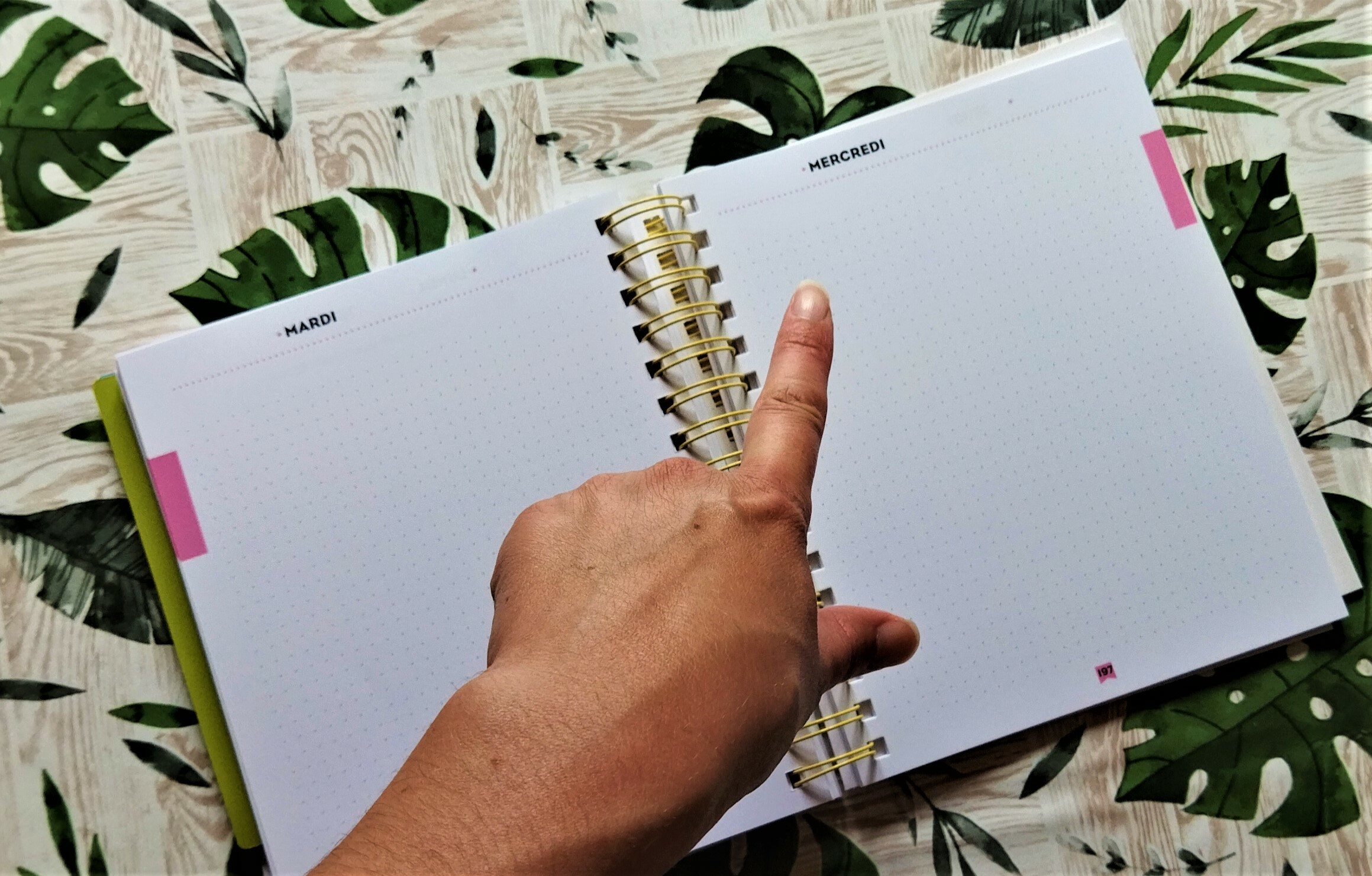 Le meilleur planner profs des écoles ! – Maman Tornade