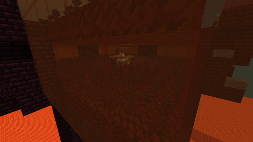 ferme wither squelette 2