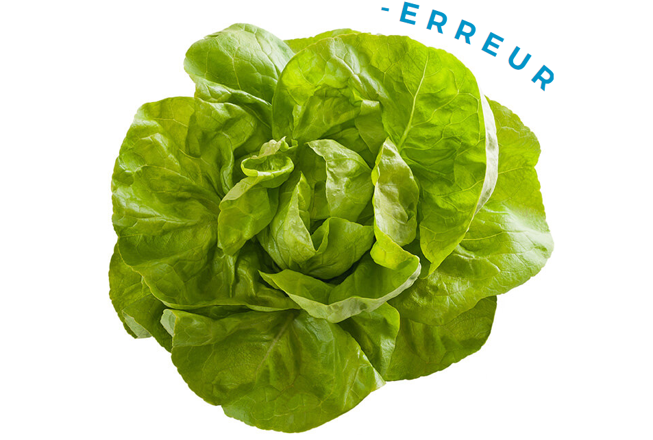 https://zupimages.net/up/21/37/r1kj.png