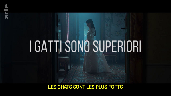 tvzf.png