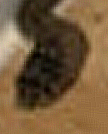 https://zupimages.net/up/21/41/4heq.jpg