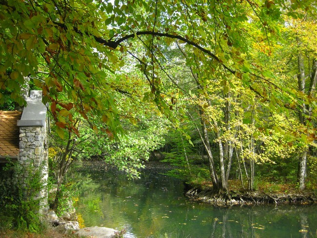 Citation Et Photo De Nature Page 2