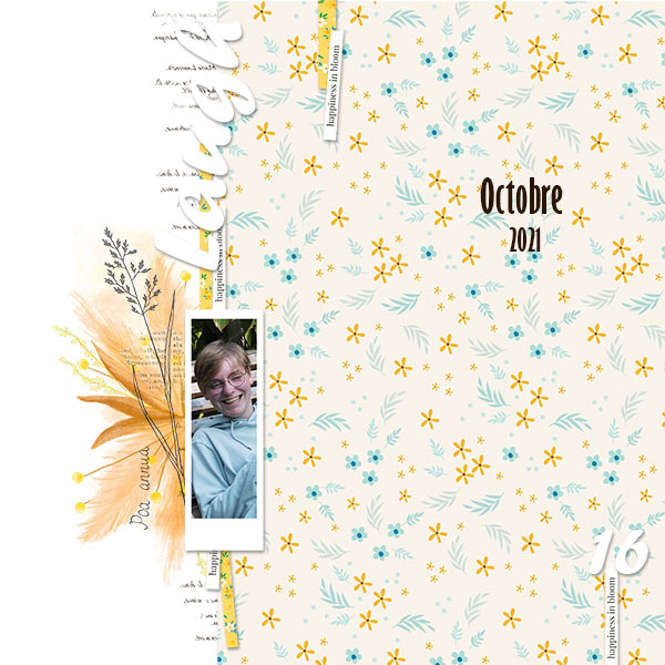 Challenge scraplift octobre - Page 4 H2ut