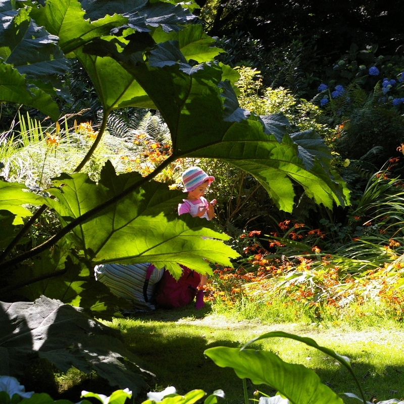 Petite visiteuse du jardin de Prévert. C9ch